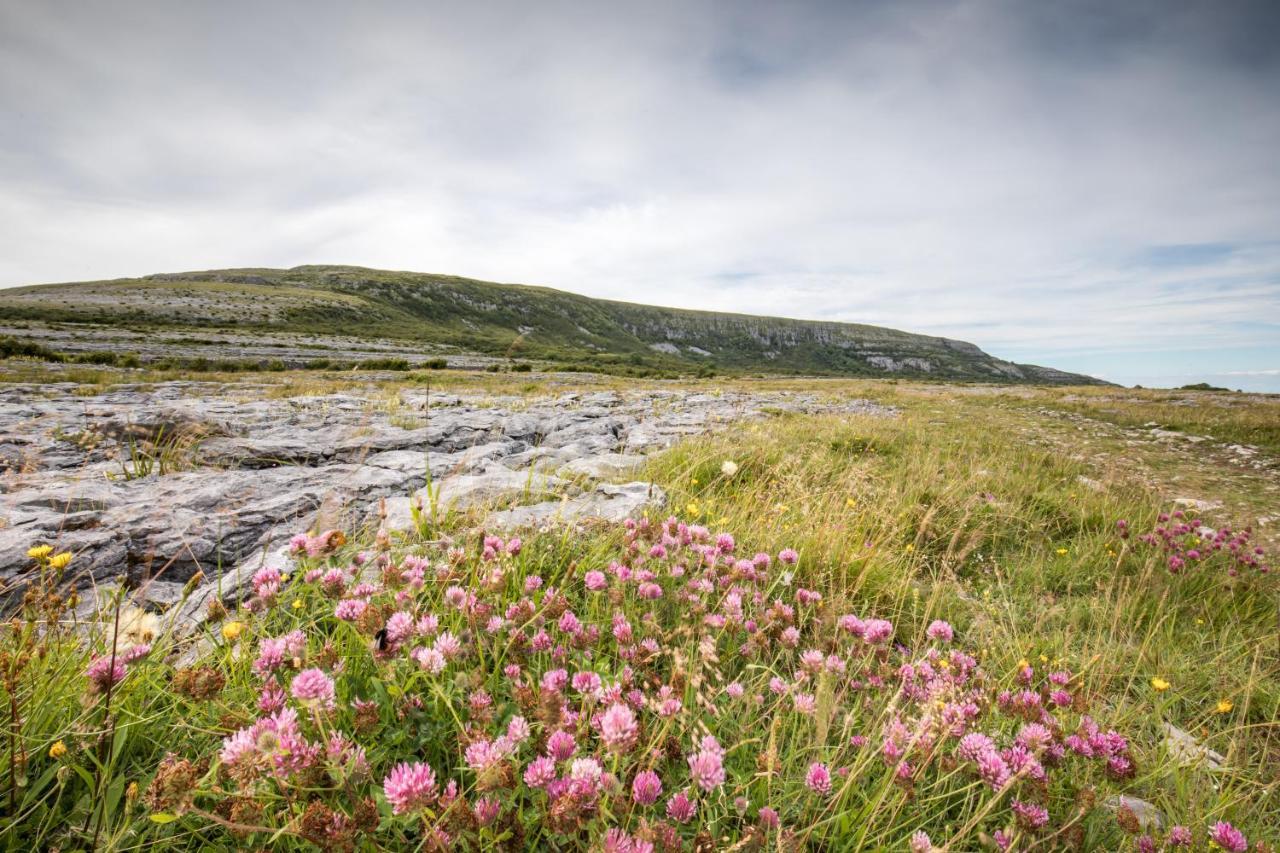 Gregans Castle Hotel Ballyvaughan Luaran gambar